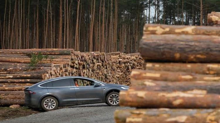 Γερμανία: Δικαστήριο Δικαίωσε την Tesla, Μπορεί να Αποψιλώσει το Δάσος για να Χτίσει Εργοστάσιο